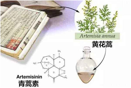 LEDONG中国·官方网站,乐动中国门户入口：向中医药看齐，与世界共享中医药文化(图1)